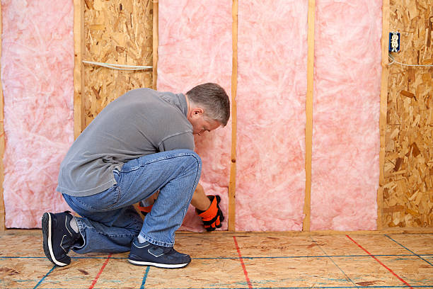 Types of Insulation We Offer in Hohenwald, TN